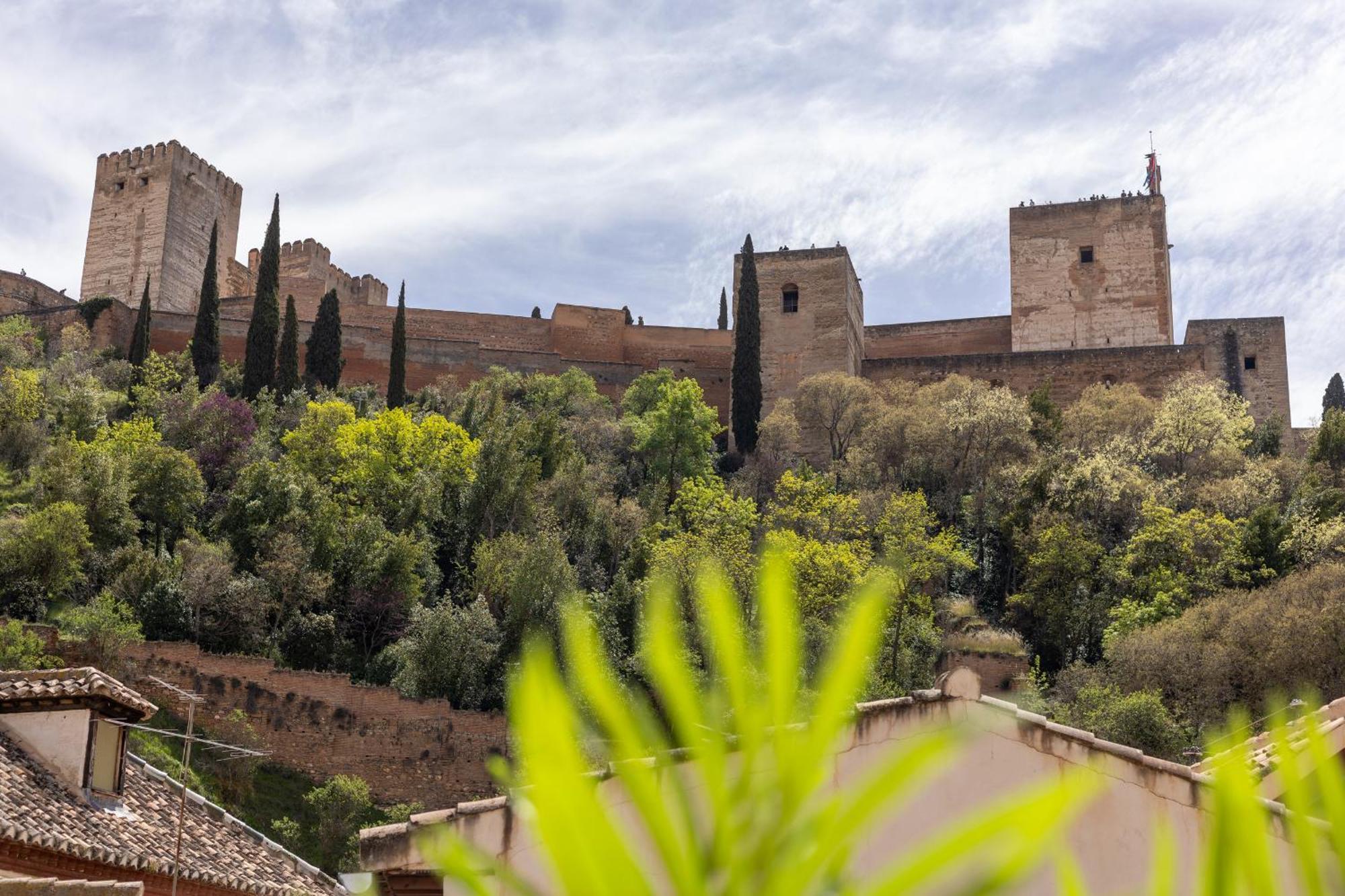 Holiday home San Pedro Alhambra Views 3br *